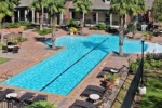 The Marquis on Briar Forest
